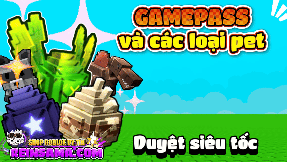 GAMEPASS VÀ PET GAG